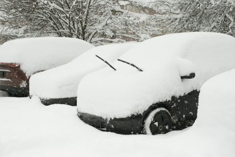 cars covered in snow